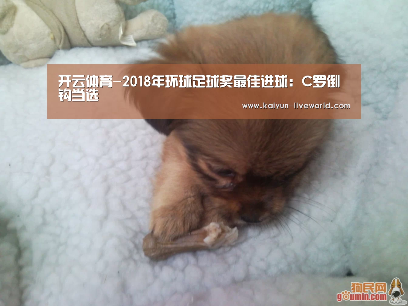 开云赛事