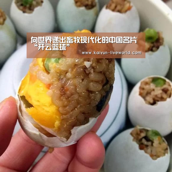 向世界递出畜牧现代化的中国名片“开云篮球”(图3) 开云体育