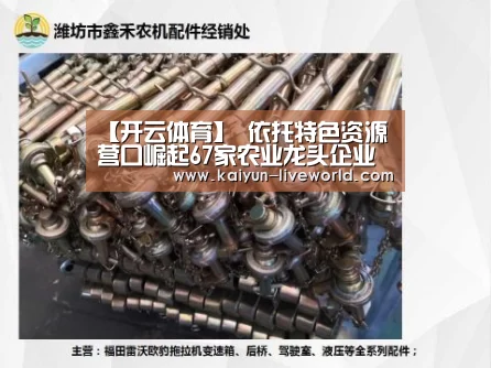 【开云体育】
依托特色资源 营口崛起67家农业龙头企业(图3) 开云赛事