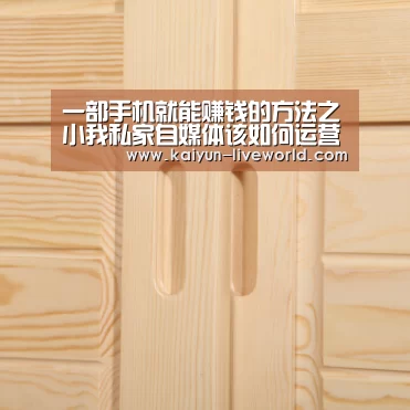 一部手机就能赚钱的方法之小我私家自媒体该如何运营?“开云篮球”(图1) 开云赛事